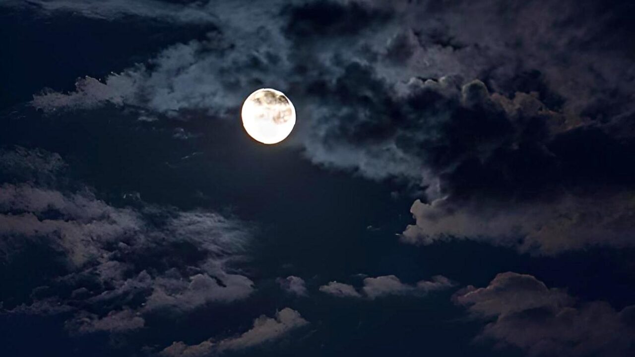 laptopinvestor|Learning About Night Sky Legends from an Aboriginal Storyteller