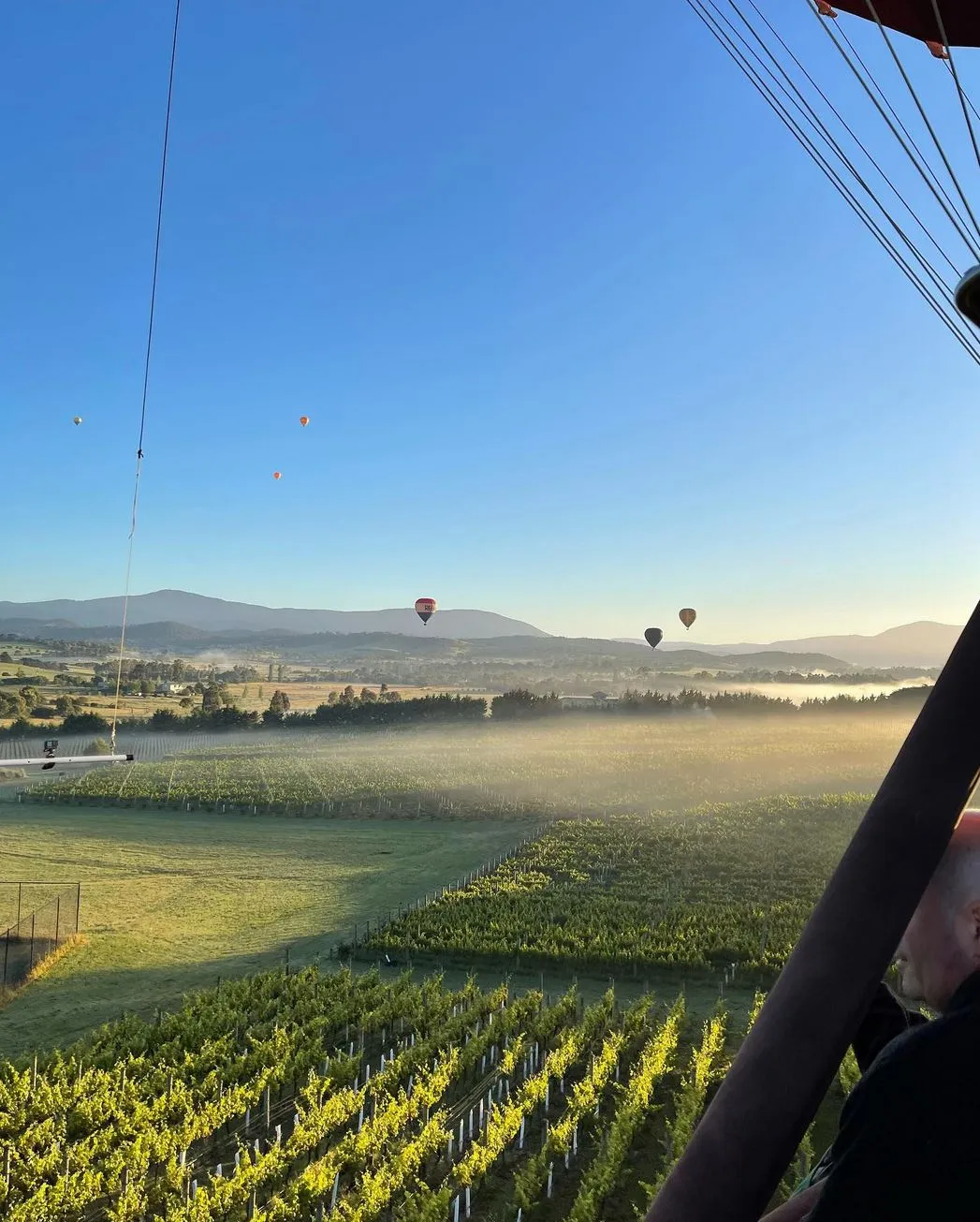 laptopinvestor | Best Time to Visit Yarra Valley?