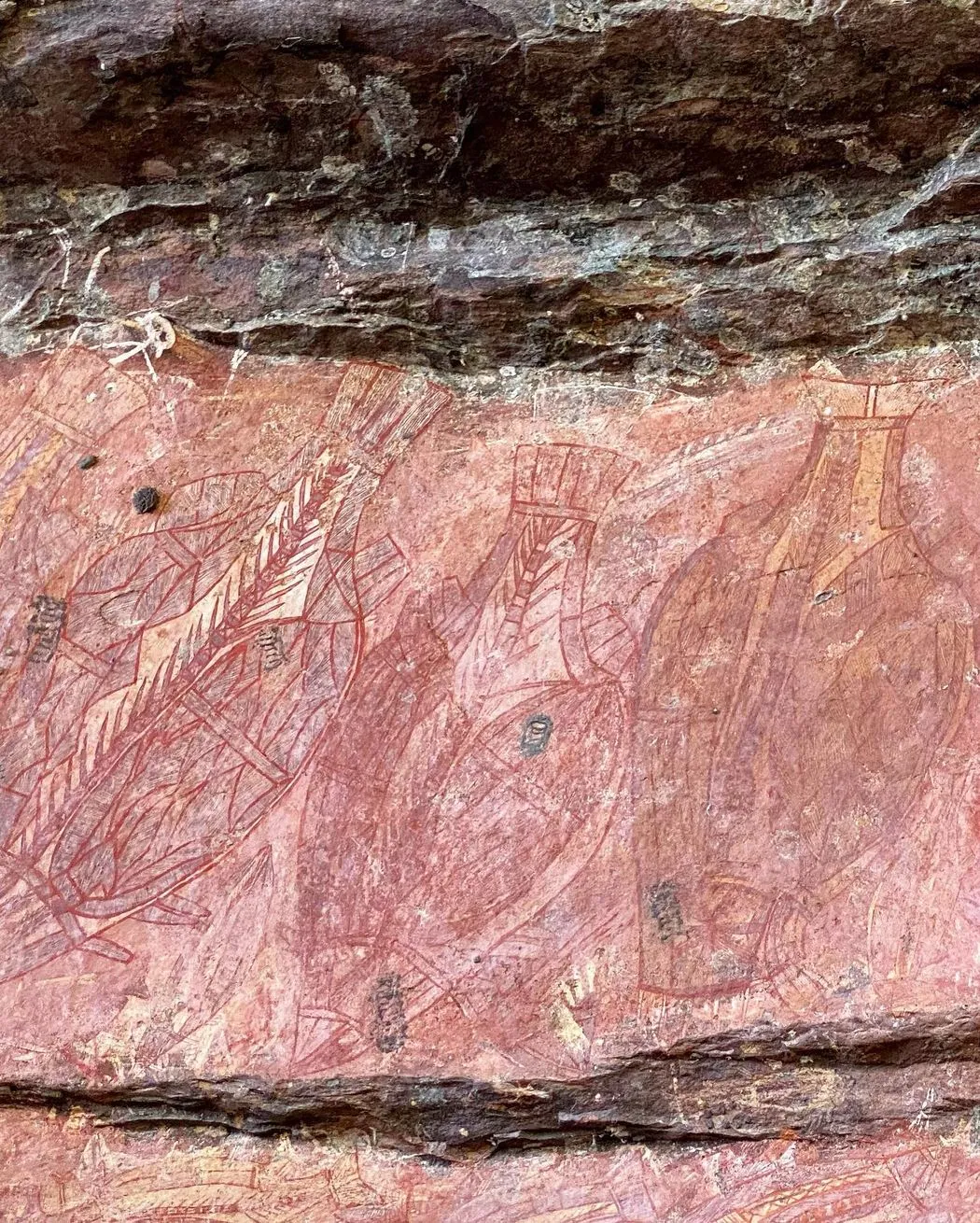 laptopinvestor | What Makes Kakadu National Park Spiritually Sacred? laptopinvestor | What Makes Kakadu National Park Spiritually Sacred?